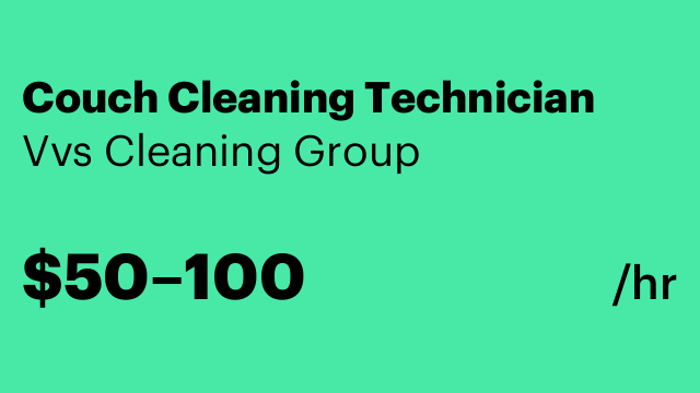 Couch Cleaning Technician