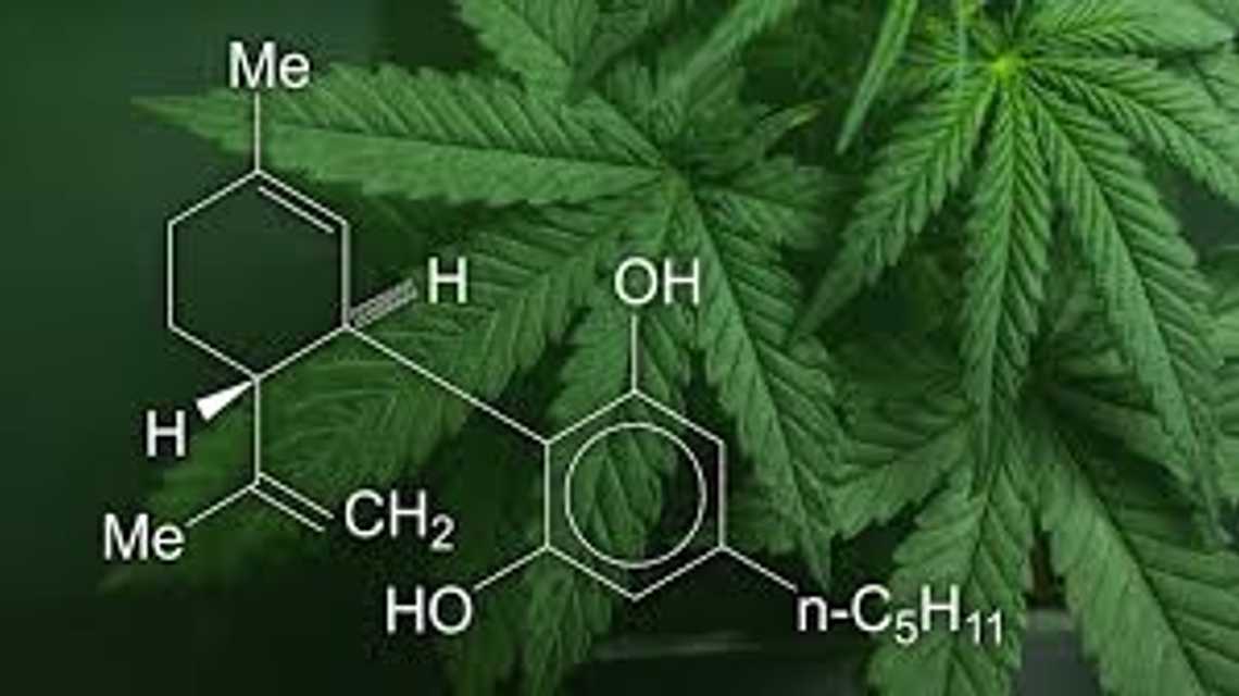 rankingcbd cover image
