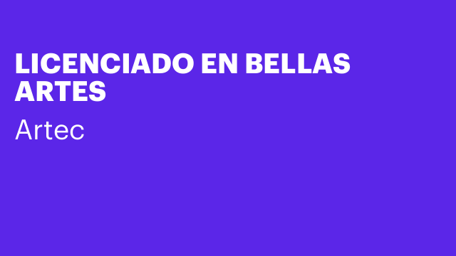 LICENCIADO EN BELLAS ARTES
