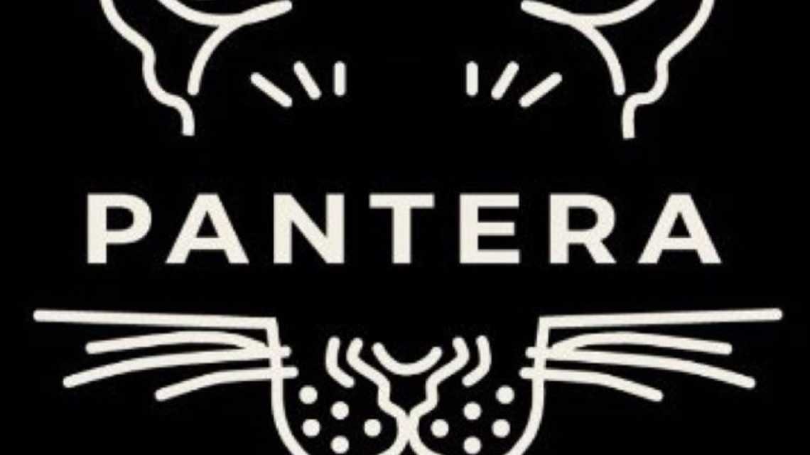 PANTERA cover image