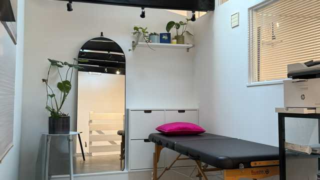 Aesthetic, PMU, or Tattoo Artist