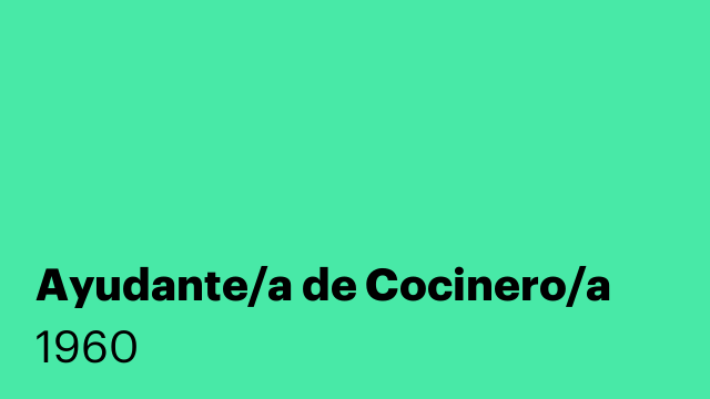 Ayudante/a de Cocinero/a