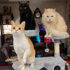 company photo