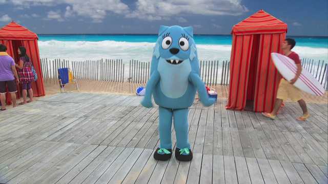 Transportation Driver