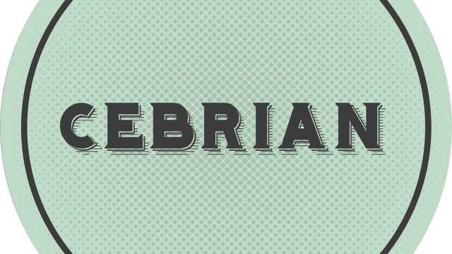 COCINERO/A CEBRIAN ACTUR