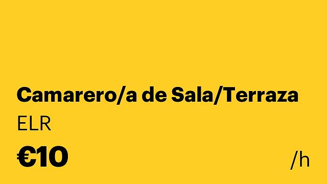 Camarero/a de Sala/Terraza