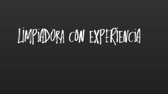 Limpiador/a