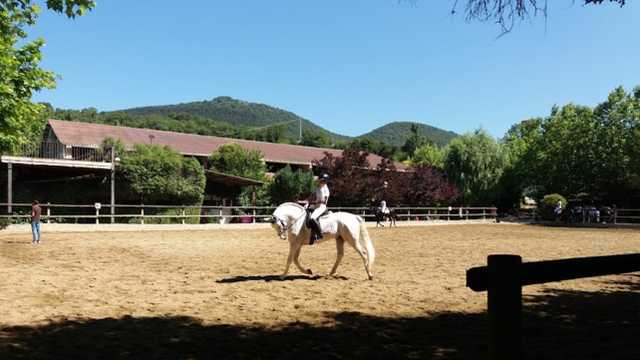 Mozo/a de Almacén