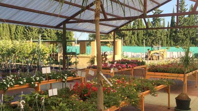 Dependiente/a de Tienda