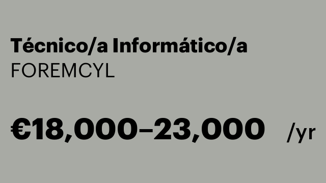 Técnico/a Informático/a