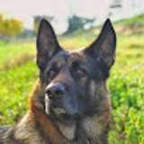 jesus P. avatar icon