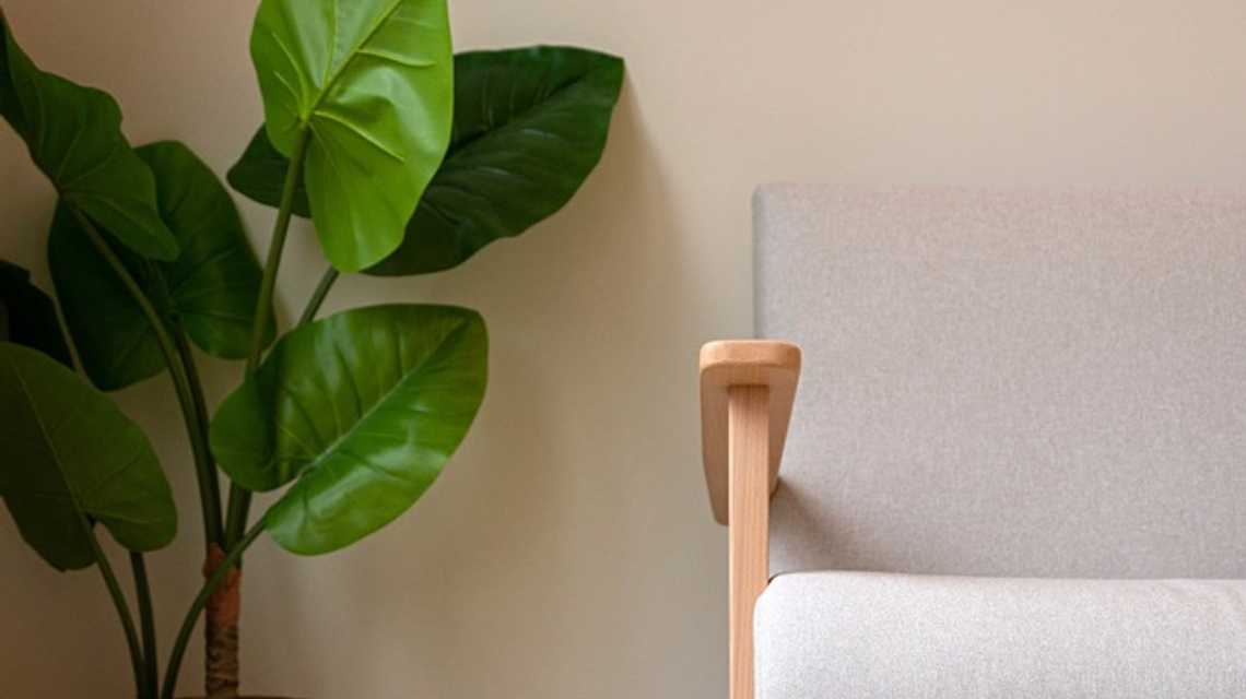 Le Maise cover image