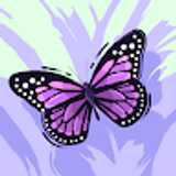 kathe green avatar icon