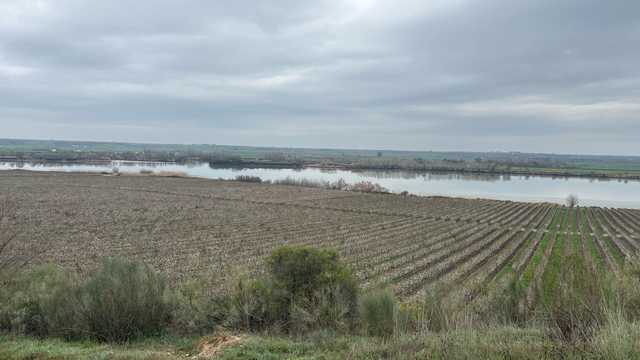 Tractorista, Peón agrícola, Ingeniero Agrónomo