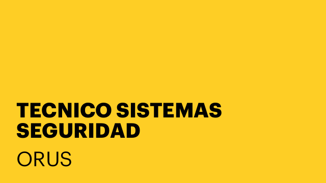TECNICO SISTEMAS SEGURIDAD