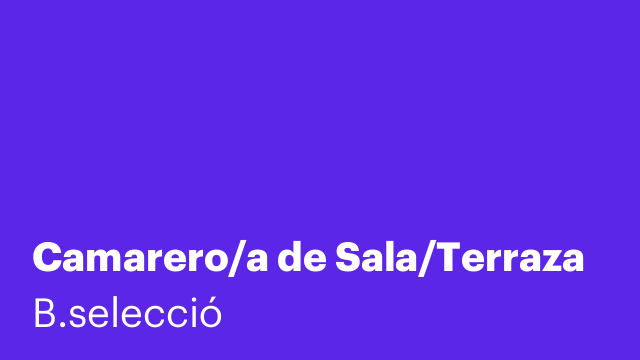 Camarero/a de Sala/Terraza