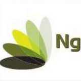 NG ASESORES logo