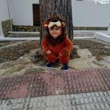 Susana C. avatar icon