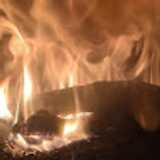 Francis H. avatar icon