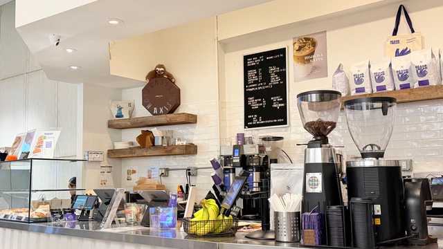 Barista