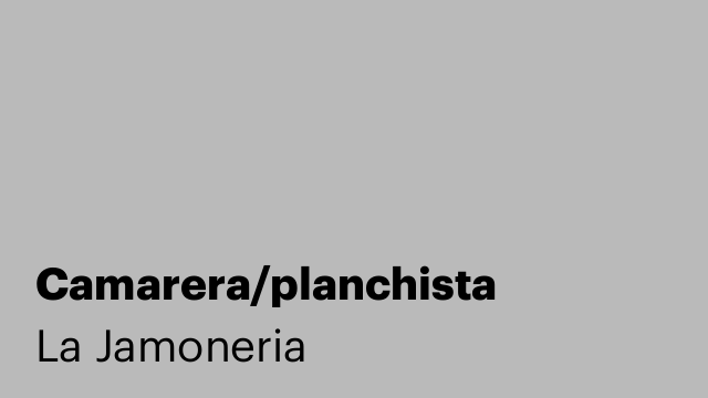 Camarera/planchista