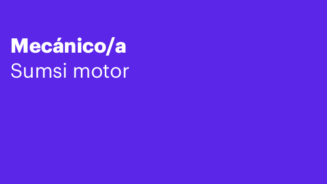 Mecánico/a