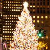 Photography Times Square  logo