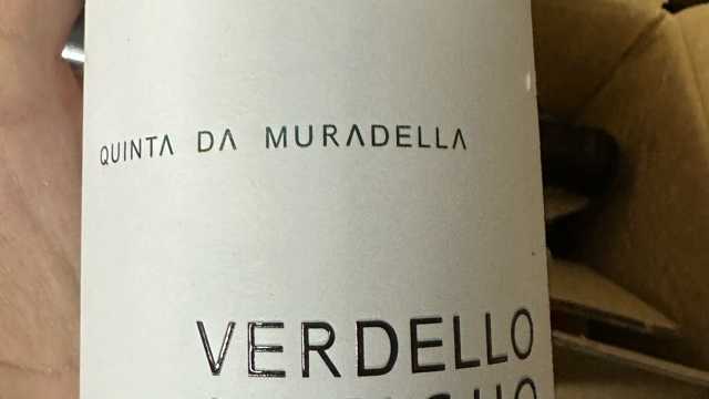 Ayudante de Camarero/a