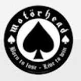 Sergio F. avatar icon