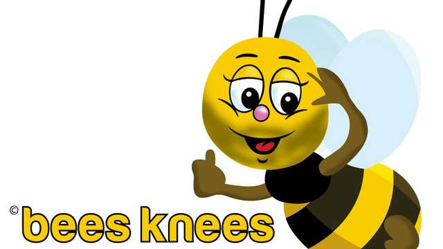 Property Services assistant