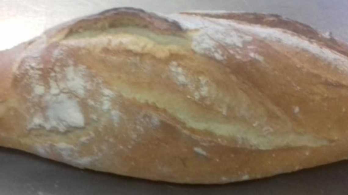 Sacrispan SL cover image