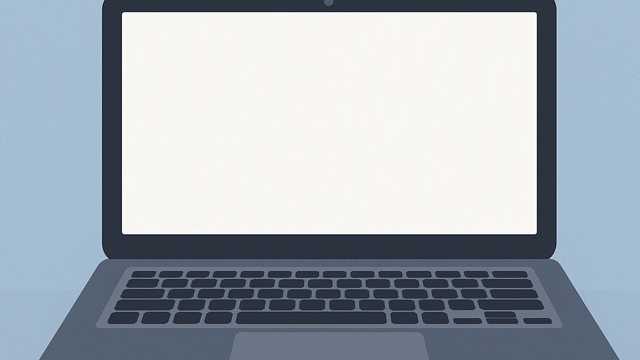 Programador/a