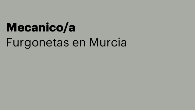 Mecanico/a