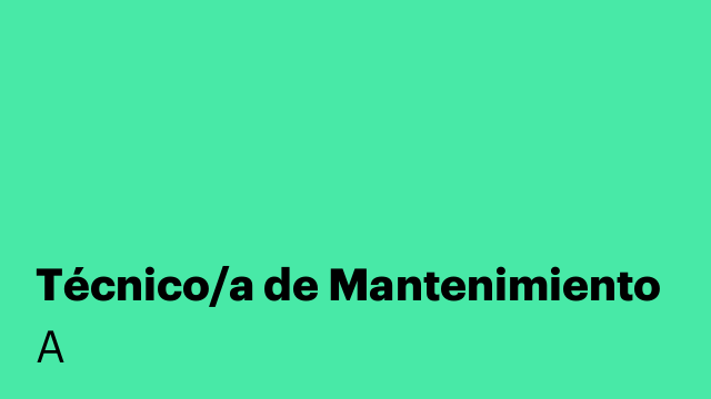 Técnico/a de Mantenimiento