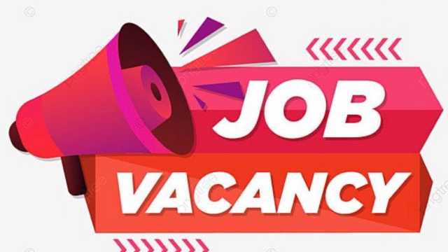 Customer Service Assistant