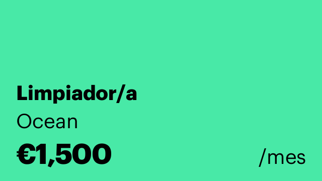 Limpiador/a