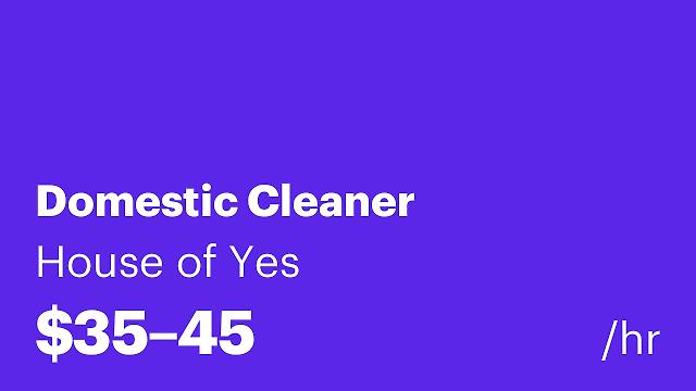 Domestic Cleaner