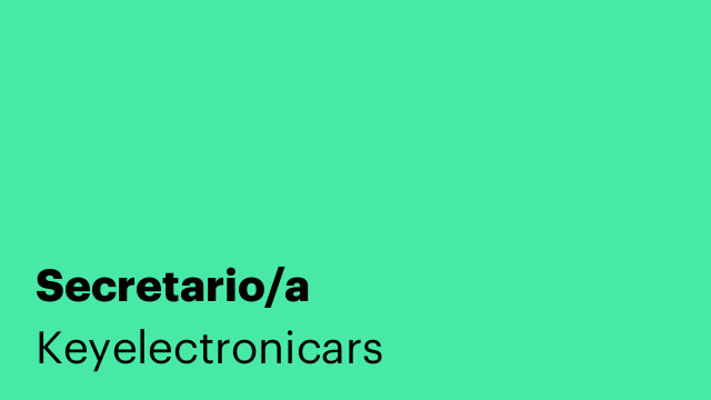 Secretario/a