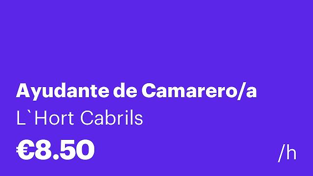 Ayudante de Camarero/a