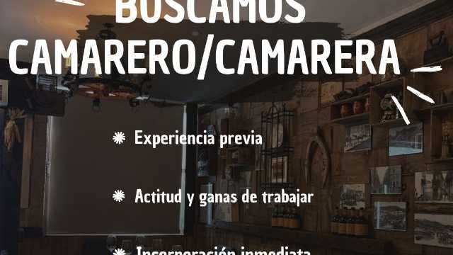 Camarero/a de Sala/Terraza