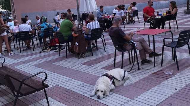 Camarero/a de Barra y Sala/Terraza