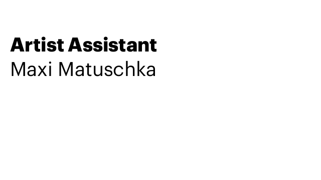 Artist Assistant
