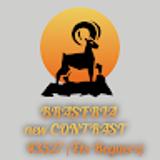 New Contrast avatar icon