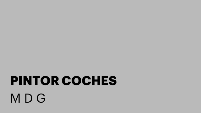 PINTOR COCHES