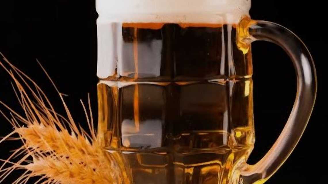 Cervecería  cover image