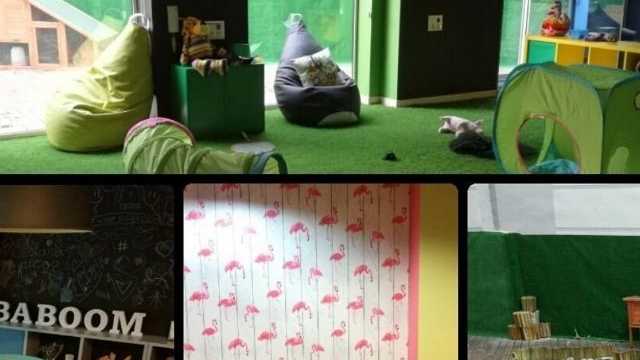 Monitor/a tiempo libre para cumpleaños