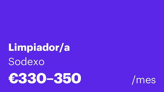 Limpiador/a