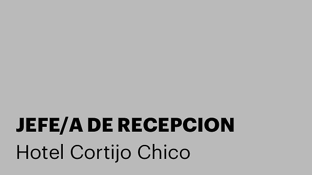 JEFE/A DE RECEPCION