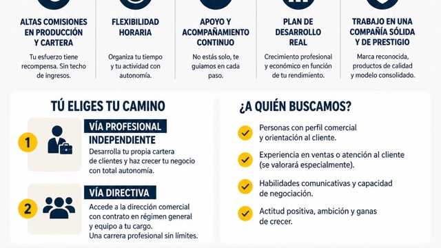 Agente Comercial