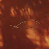 SAKANAYA FUENGIROLA  logo